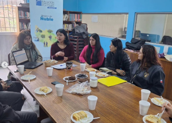 Abren postulaciones para profesionales y técnicos jóvenes al Programa Servicio País 2024
