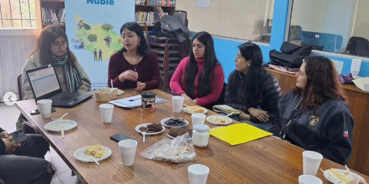 Abren postulaciones para profesionales y técnicos jóvenes al Programa Servicio País 2024
