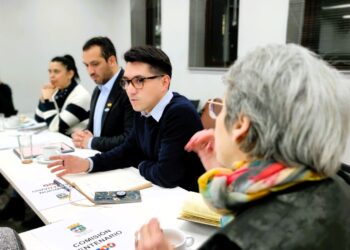 Coyhaique: Plantas de energía renovable podrían rebajar en 60% la cuenta de luz a familias