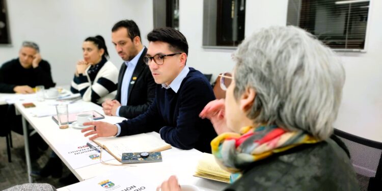 Coyhaique: Plantas de energía renovable podrían rebajar en 60% la cuenta de luz a familias