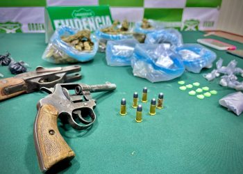 Coyhaique: Carabineros desbarata punto de venta de drogas durante las Fiestas Patrias