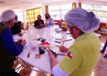 Apicultores de Aysén se nutren de conocimientos en el Congreso Apícola de Huasco