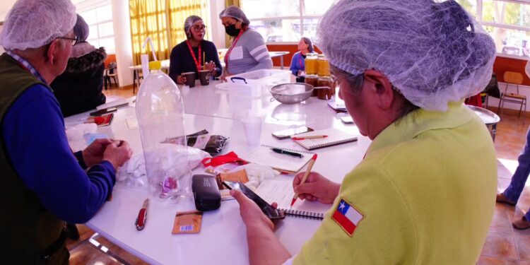 Apicultores de Aysén se nutren de conocimientos en el Congreso Apícola de Huasco
