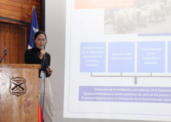 Médicos de Aysén se entrenan en la detección temprana de la hidatidosis