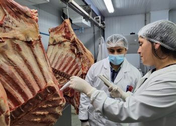 Salud intensifica controles alimenticios en Aysén ante el aumento de consumo por Fiestas Patrias