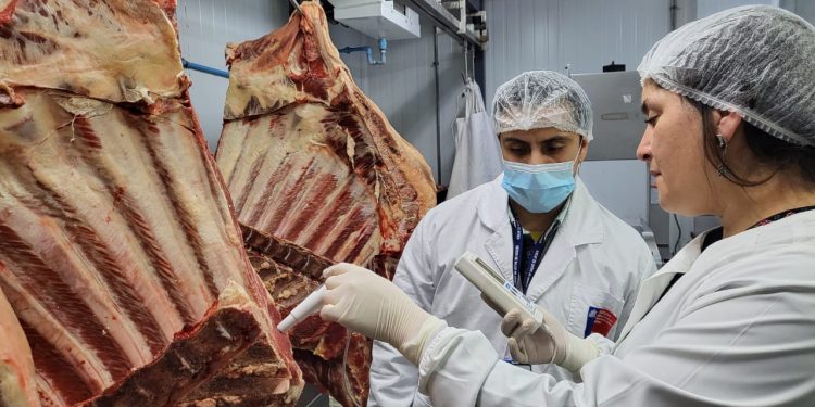 Salud intensifica controles alimenticios en Aysén ante el aumento de consumo por Fiestas Patrias