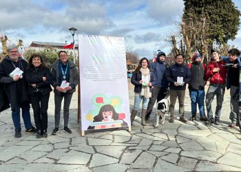 Aysén refuerza la línea *4141 para la prevención del suicidio y el cuidado de la salud mental