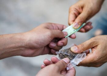 Tribunal de Coyhaique Condena a Dos Adultos y un Adolescente por Tráfico de Drogas