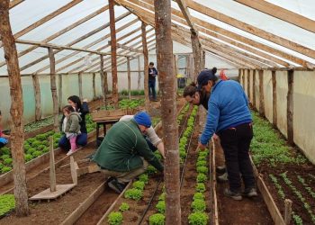 INDAP impulsa la producción frutícola en Aysén con jornadas de capacitación en La Junta y Lago Verde