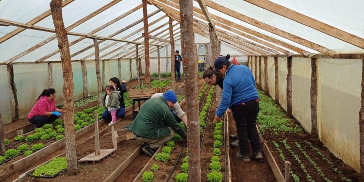 INDAP impulsa la producción frutícola en Aysén con jornadas de capacitación en La Junta y Lago Verde
