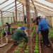 INDAP impulsa la producción frutícola en Aysén con jornadas de capacitación en La Junta y Lago Verde