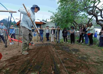 Talleres de Agricultura Sostenible en Aysén Promueven Prácticas Más Ecológicas