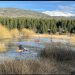 Hombre Fallece Tras Caída al Río Cochrane