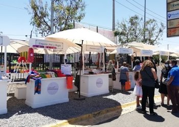 Lanzan programa Emprendamos Grupal para fortalecer agrupaciones productivas en Coyhaique