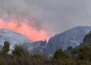 Incendio Forestal en La Tapera ha Consumido 140 Hectáreas
