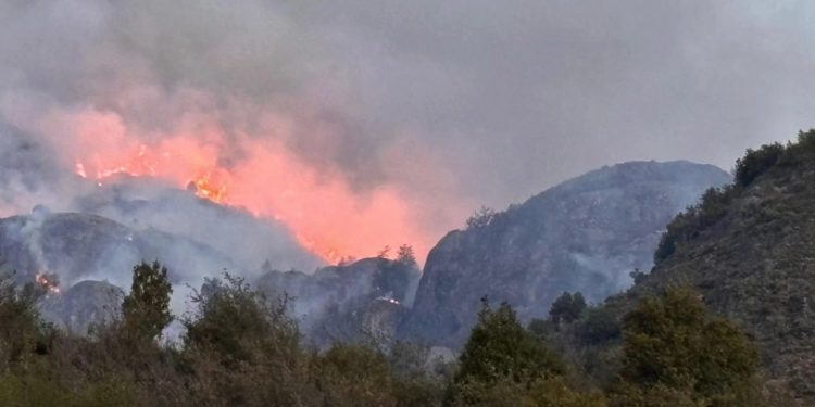 Incendio Forestal en La Tapera ha Consumido 140 Hectáreas