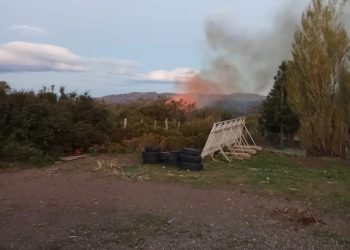 Incendio forestal descontrolado en ruta X-735 hacia Península Levicán