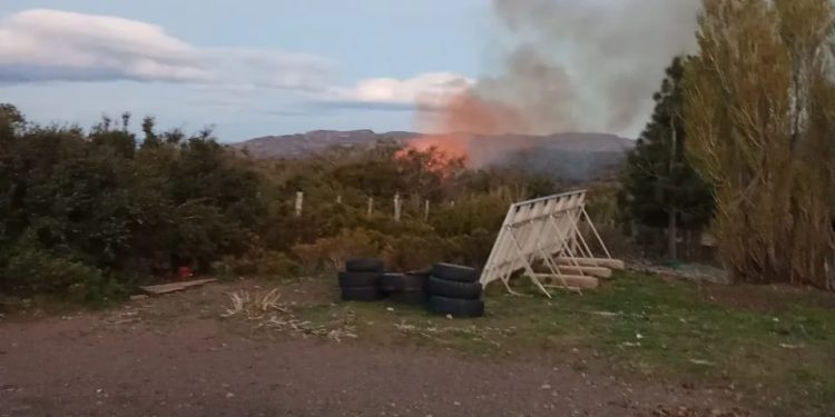 Incendio forestal descontrolado en ruta X-735 hacia Península Levicán