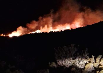 [Actualización] Incendio forestal en Península Levicán: 10 hectáreas consumidas y labores de combate en curso