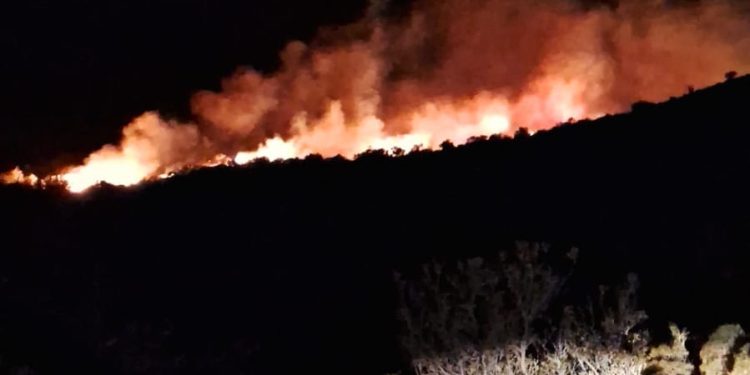 [Actualización] Incendio forestal en Península Levicán: 10 hectáreas consumidas y labores de combate en curso