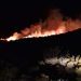 [Actualización] Incendio forestal en Península Levicán: 10 hectáreas consumidas y labores de combate en curso