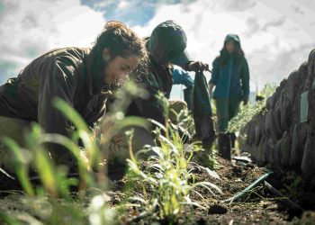 Invitan a plantar especies nativas frente a la Plaza de Armas de Coyhaique