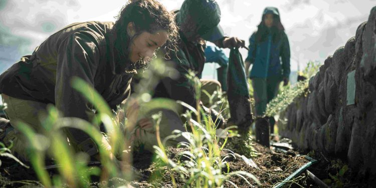 Invitan a plantar especies nativas frente a la Plaza de Armas de Coyhaique