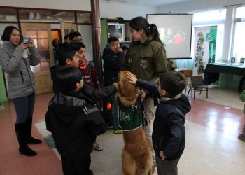Carabineros de Aysén y Universidad Finis Terrae Unen Fuerzas para Ofrecer Atención Médica en Sectores Rurales