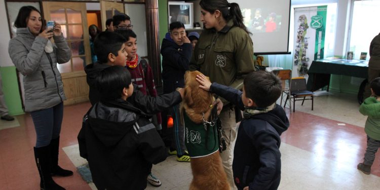 Carabineros de Aysén y Universidad Finis Terrae Unen Fuerzas para Ofrecer Atención Médica en Sectores Rurales