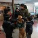 Carabineros de Aysén y Universidad Finis Terrae Unen Fuerzas para Ofrecer Atención Médica en Sectores Rurales
