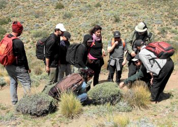 Ofrecen curso gratuito para personas del sector turístico