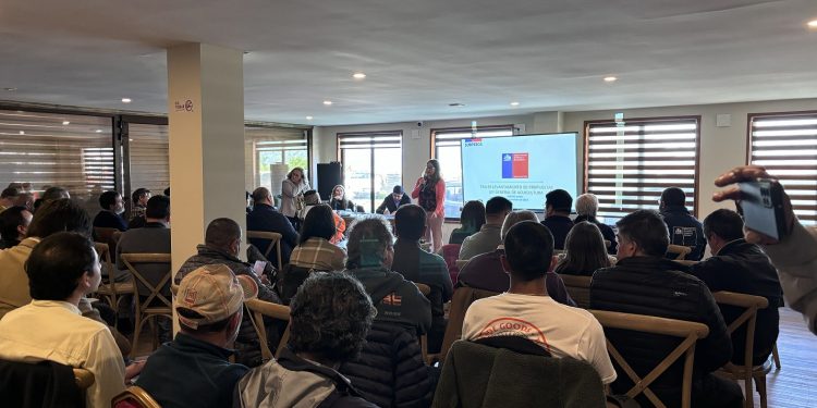 Más de 80 personas participaron en un taller en Puerto Aysén para discutir la nueva Ley de Acuicultura