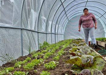 Autoridades Regionales y Productores Silvoagropecuarios de Aysén Dialogan Sobre Programas del Agro