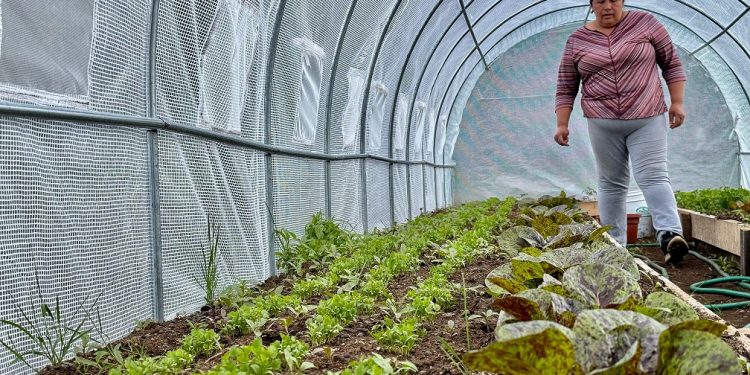 Autoridades Regionales y Productores Silvoagropecuarios de Aysén Dialogan Sobre Programas del Agro