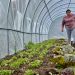 Autoridades Regionales y Productores Silvoagropecuarios de Aysén Dialogan Sobre Programas del Agro