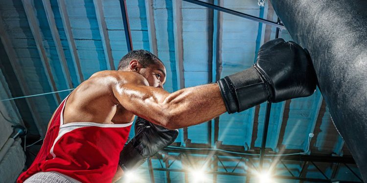 Coyhaique se Prepara para el Título de la Patagonia Internacional de Boxeo