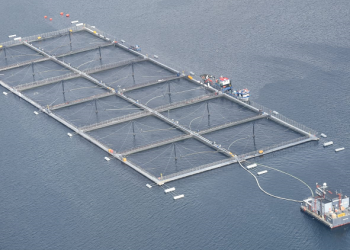 Corte de Apelaciones de Coyhaique Sanciona a Salmones Multiexport S.A. con Multa Millonaria