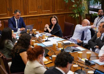 Senadora Órdenes por licencias médicas fraudulentas: “Es preocupante que existan médicos que están emitiendo licencias cada hora y media”