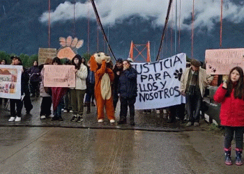 En Puerto Aysén detienen a sujeto acusado de robo con intimidación y de maltrato a mascotas