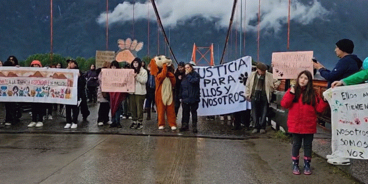 En Puerto Aysén detienen a sujeto acusado de robo con intimidación y de maltrato a mascotas