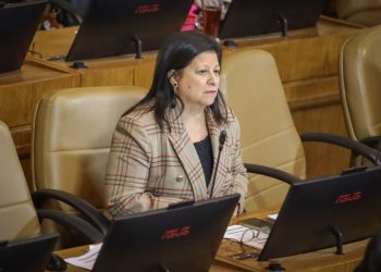 Diputada Marcia Raphael (RN) presenta indicación para suspender aplicación de Ley Lafkenche por un año