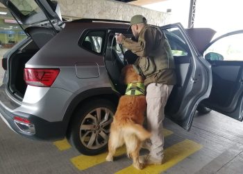 Carabineros y Perrito Gazú Realizan Controles para Detectar Drogas en Aysén