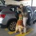 Carabineros y Perrito Gazú Realizan Controles para Detectar Drogas en Aysén