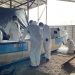Pescadores artesanales de Puerto Chacabuco realizan capacitación impulsada por AquaChile