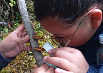 Exitosa Celebración de la “Ranita de Darwin” en la Región de Aysén