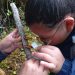 Exitosa Celebración de la “Ranita de Darwin” en la Región de Aysén