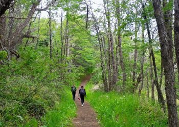 Nuevo Sendero Interpretativo en la Reserva Nacional Coyhaique Fomenta la Conexión con la Naturaleza