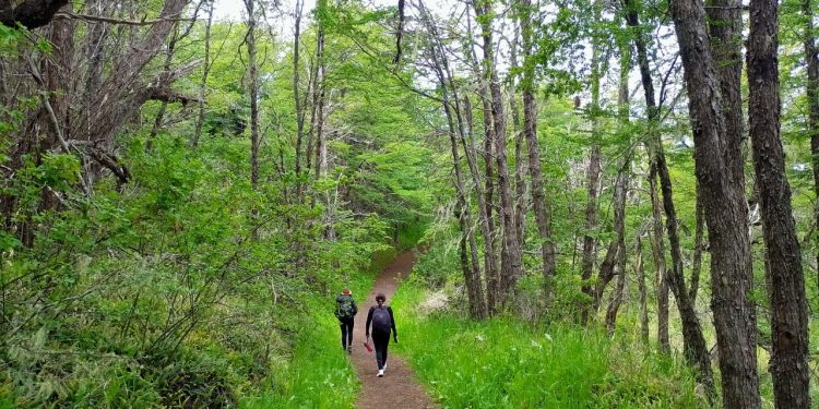 Nuevo Sendero Interpretativo en la Reserva Nacional Coyhaique Fomenta la Conexión con la Naturaleza