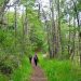 Nuevo Sendero Interpretativo en la Reserva Nacional Coyhaique Fomenta la Conexión con la Naturaleza