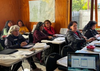 Edelaysen y Otec Tropilla impulsan curso de alfabetización digital en Coyhaique